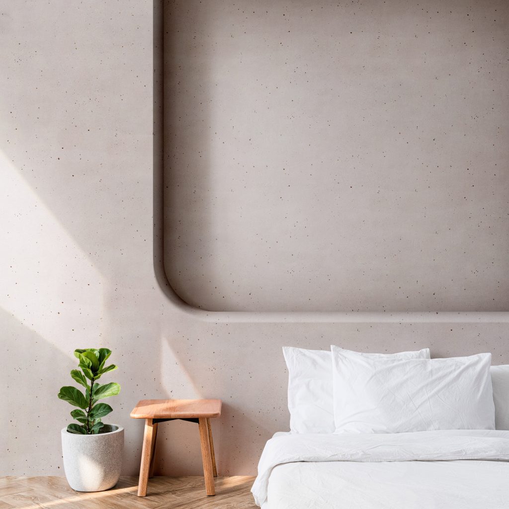 house,plants,by,a,mattress,on,the,floor